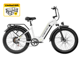 Cybervelo EK10