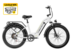 Cybervelo EK10