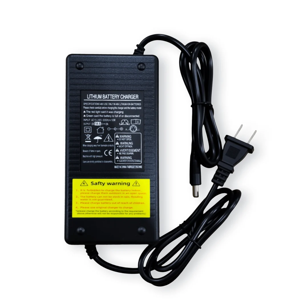 48V Charger for Electric Bike
